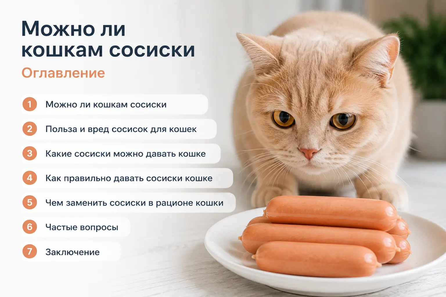Можно ли кошкам сосиски Чем заменить сосиски в рационе кошки